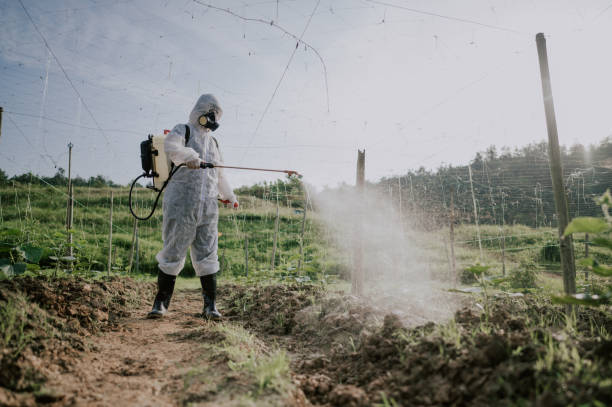 Best Affordable Pest Control Services  in West Lawn, PA