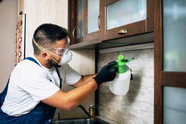 Best Commercial Pest Control Services  in West Lawn, PA